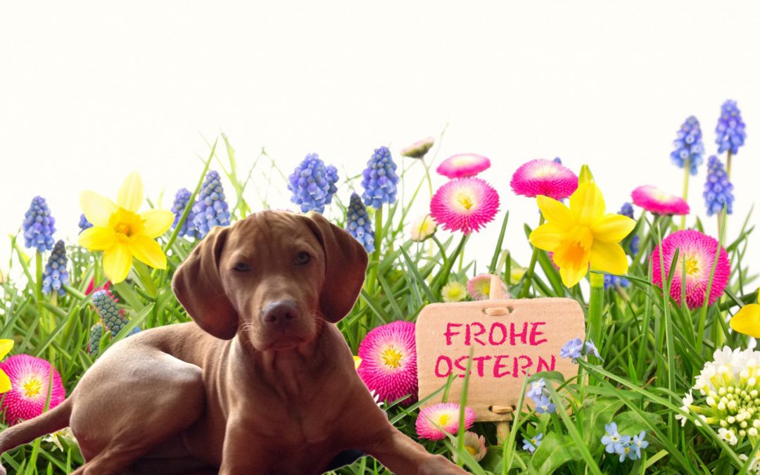 Frohe Ostern